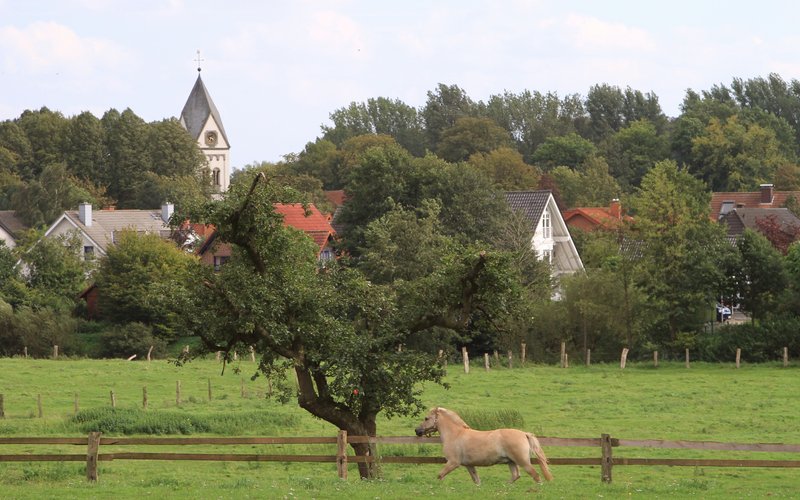 Gemeindeentwicklung