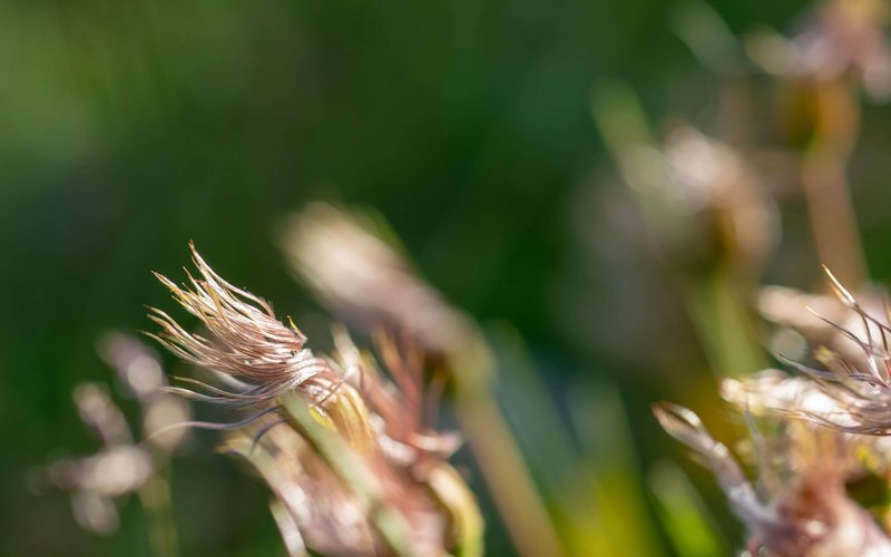Entdecken & Erleben