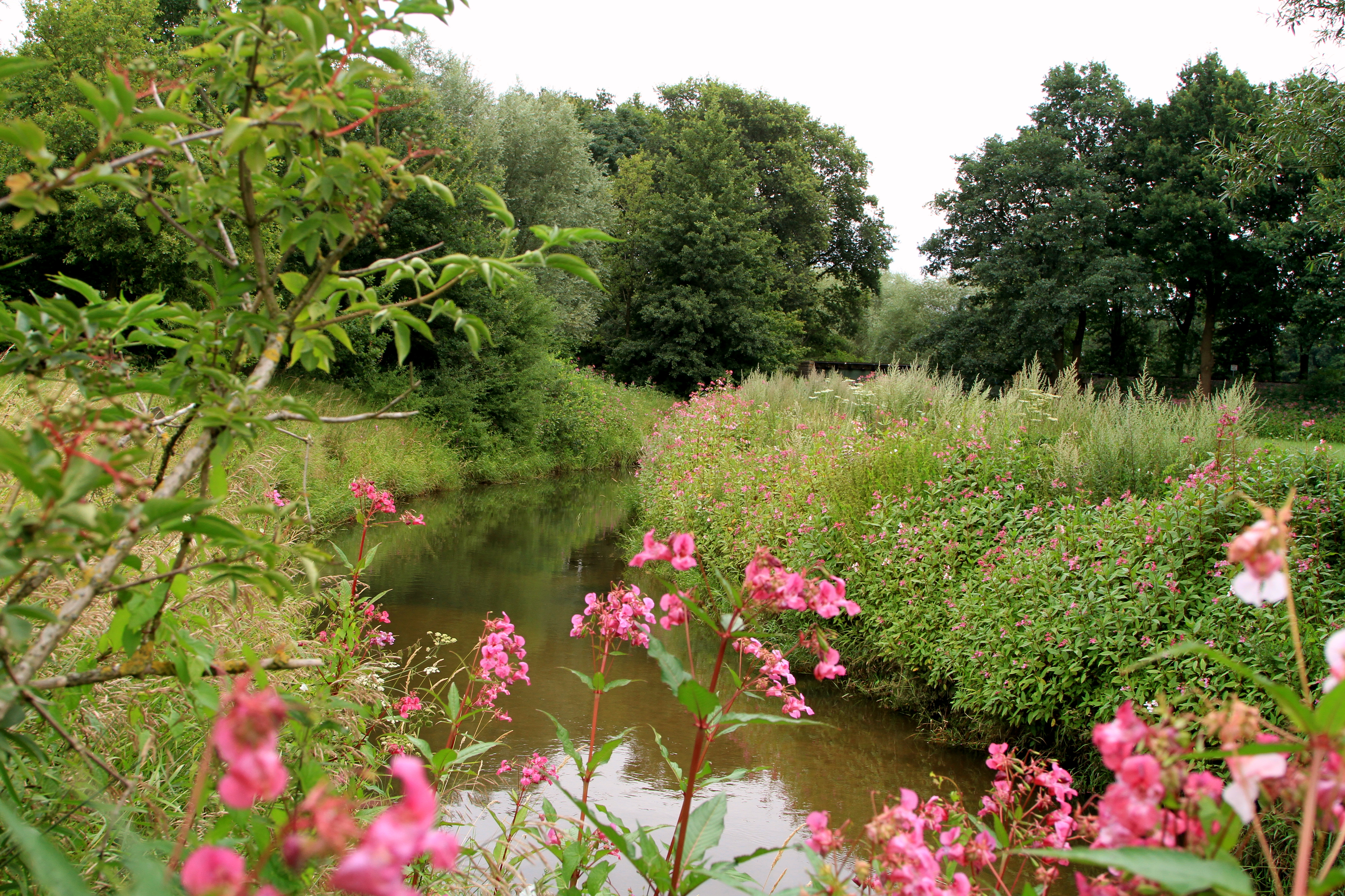 Naturlandschaft in der Gemeinde Lotte