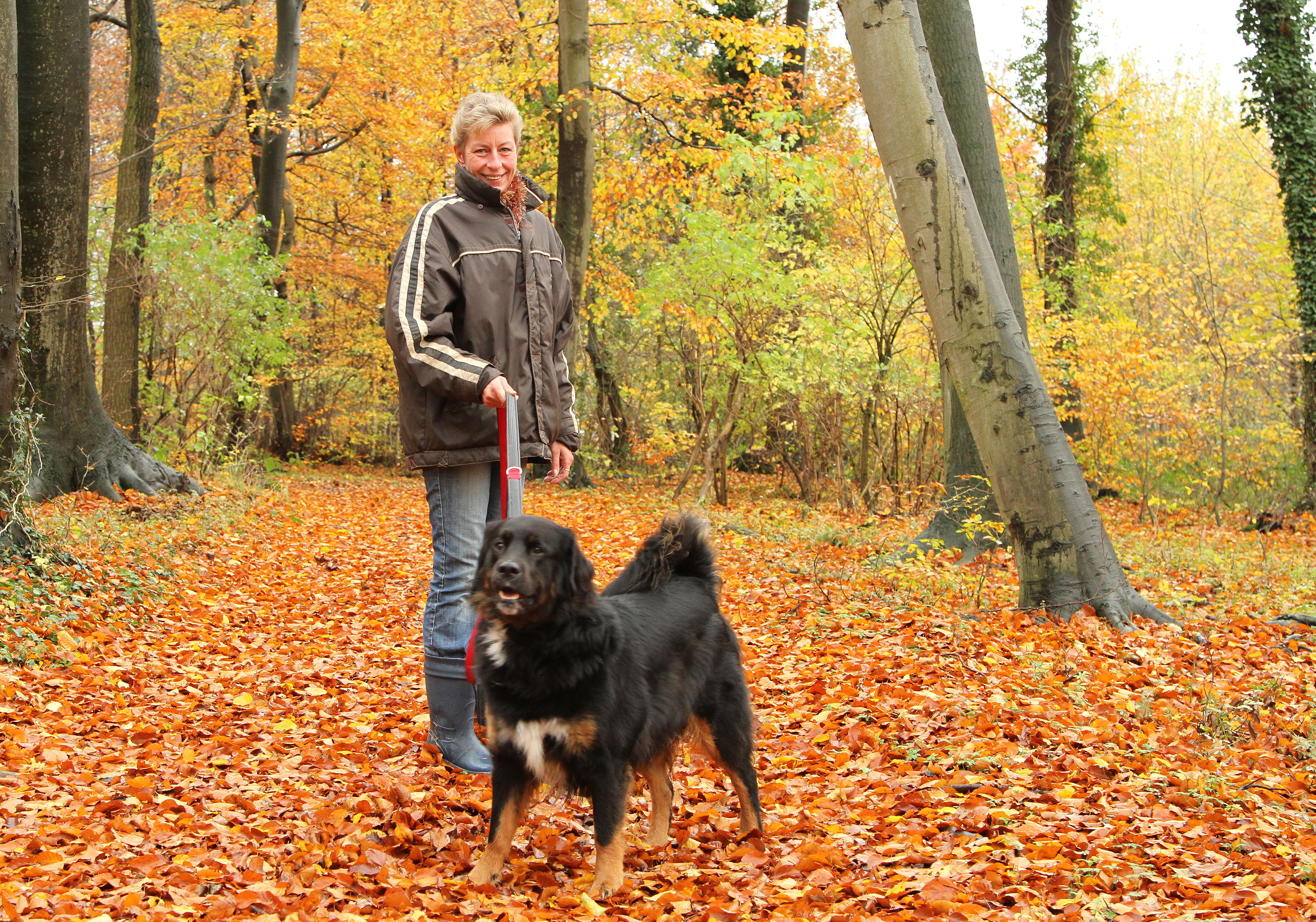 Grünflächen und Parks der Gemeinde Lotte aus der Vogelperspektive